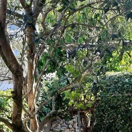 Casa Dolce Mare Сasa de vacaciones